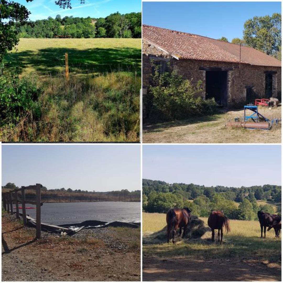 Equestrian Properties For Sale in France